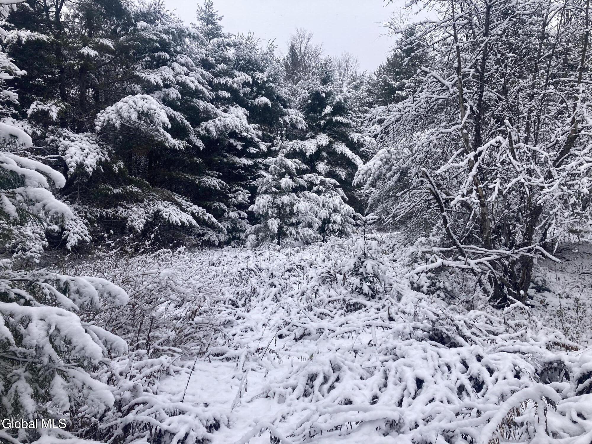 856 Olmstedville Road Chestertown NY 12853