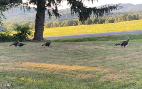 501 Johnson Hill Road Hoosick Falls NY 12090