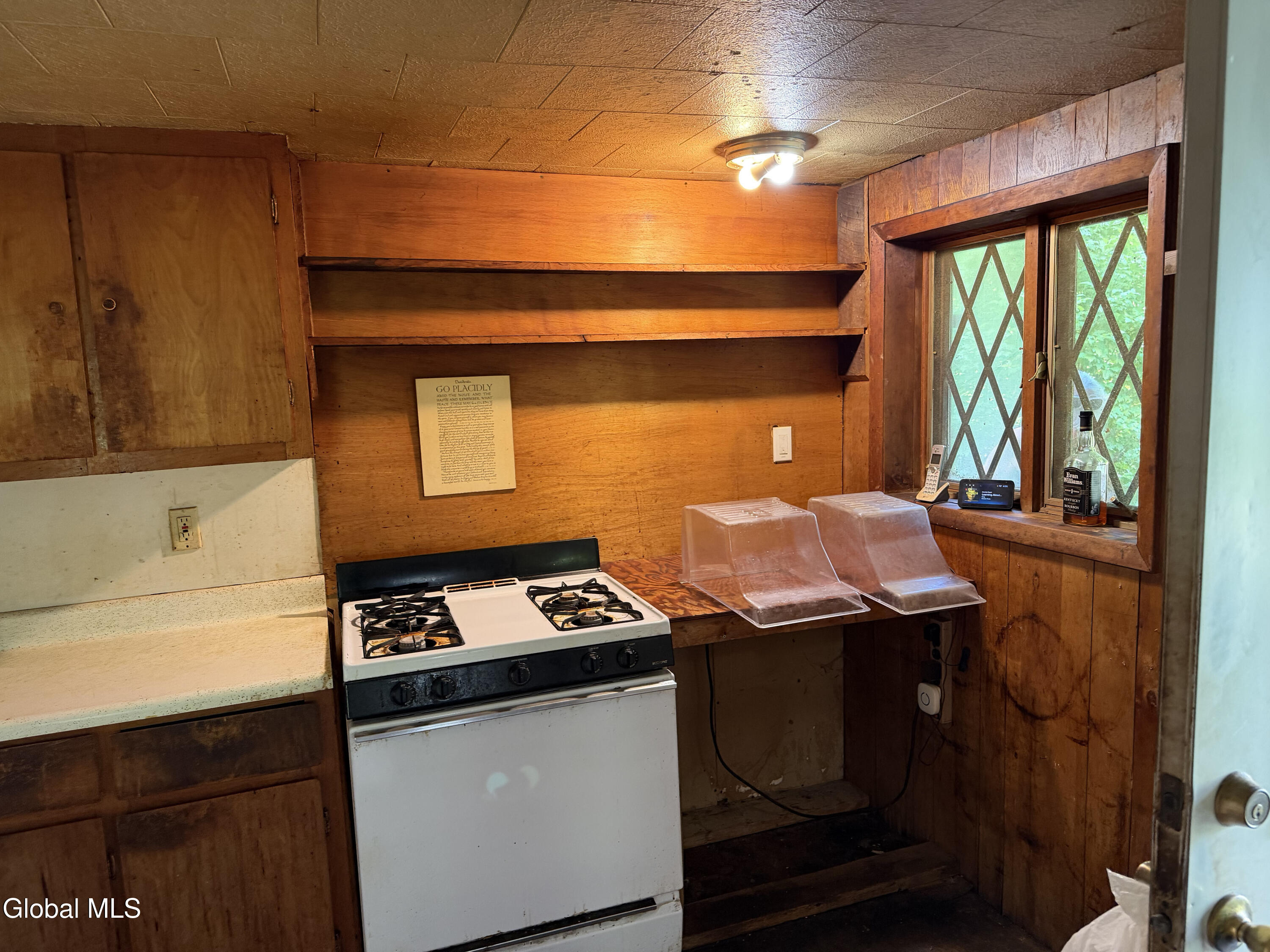 799 New York 990v Gilboa NY 12076