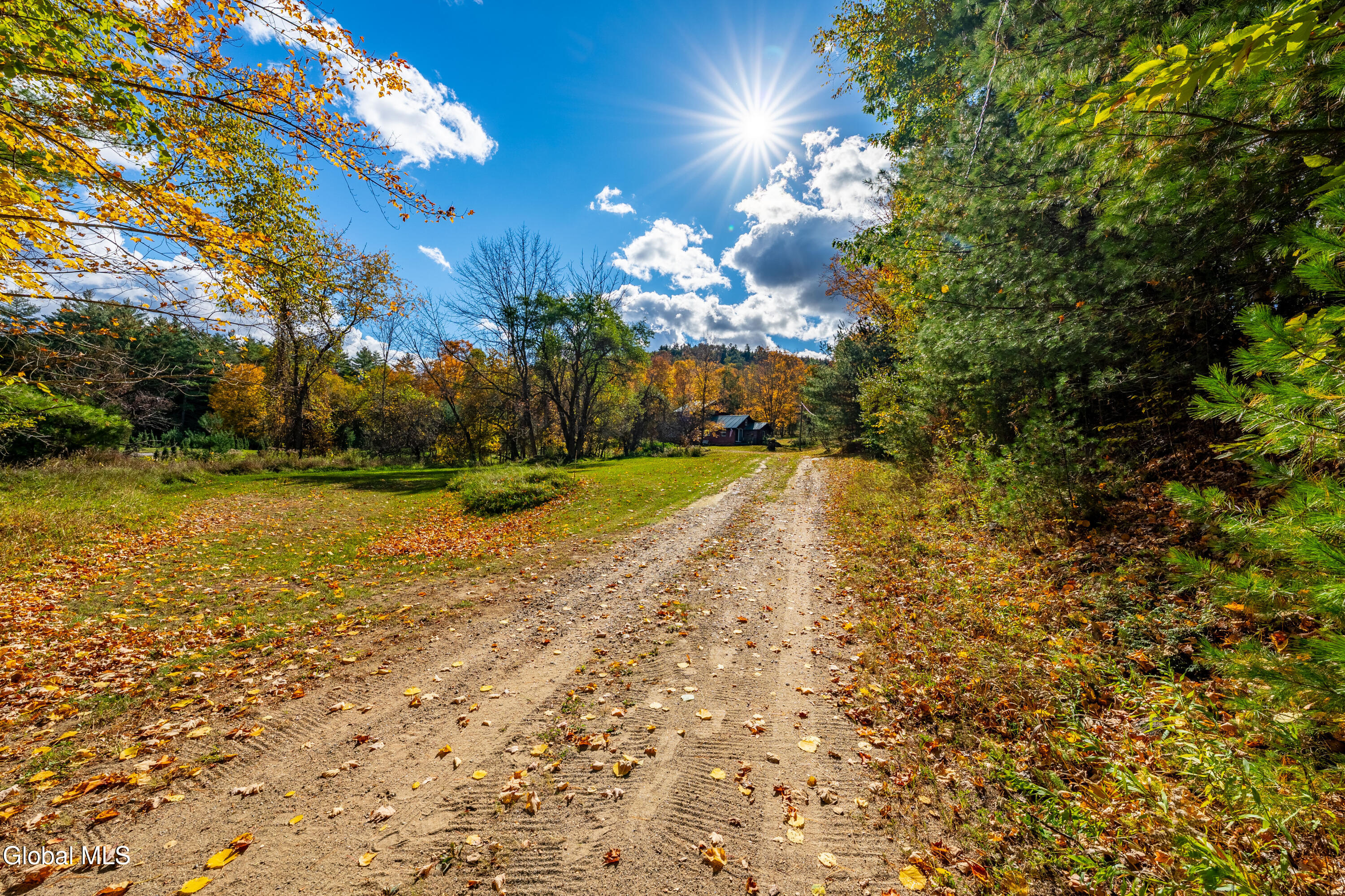 53 Woods Loop Brant Lake NY 12815