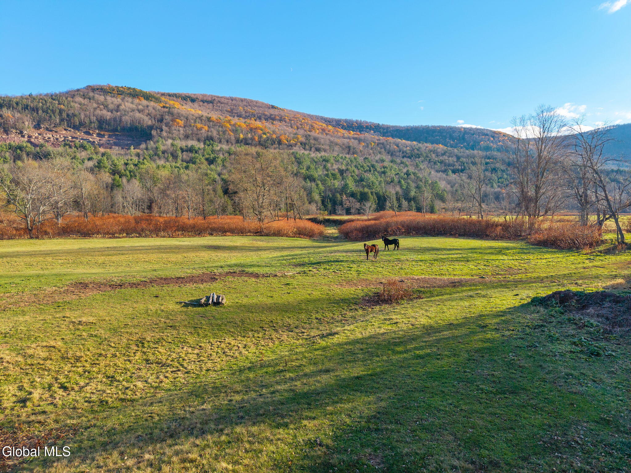 12295 State Highway 23 Ashland NY 12407