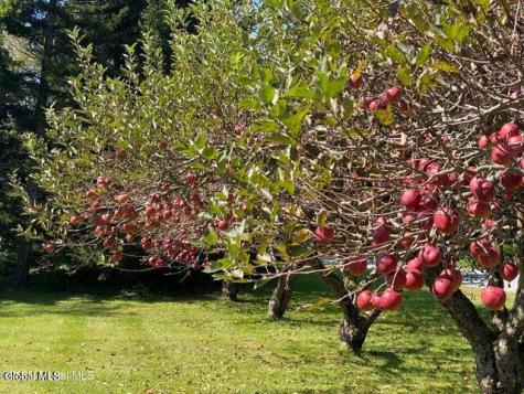 7 Western Avenue Charlton NY 12019