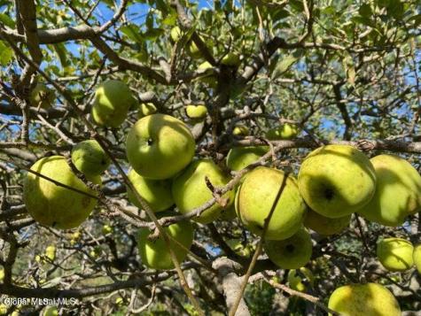 7 Western Avenue Charlton NY 12019