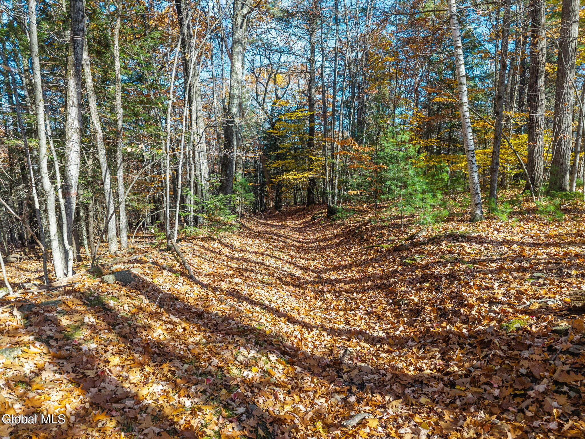 400 Greenbush Hill Road Warnerville NY 12187