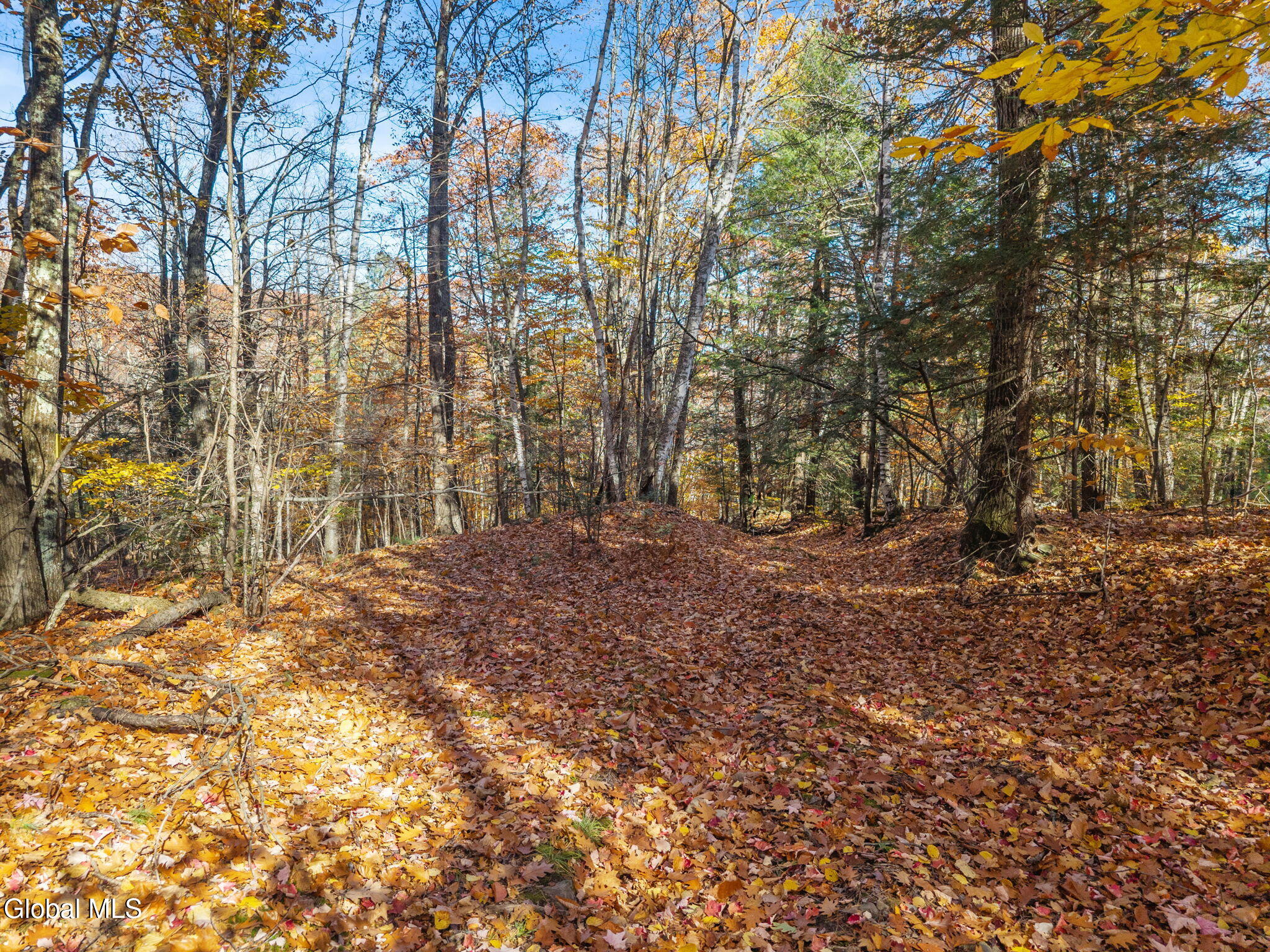 400 Greenbush Hill Road Warnerville NY 12187