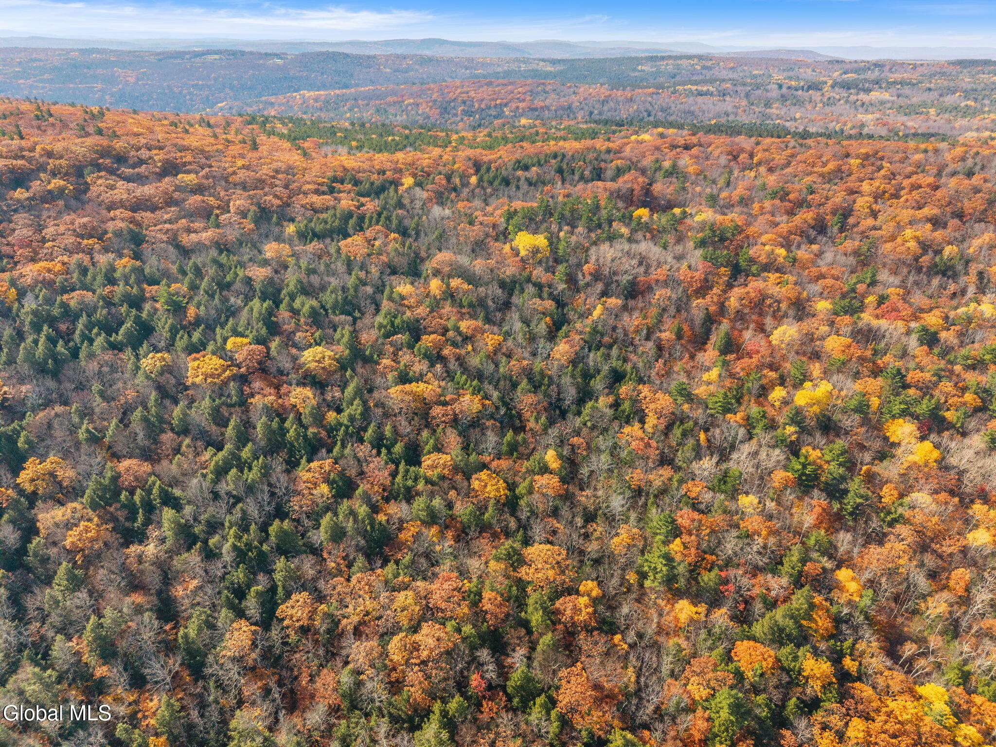 400 Greenbush Hill Road Warnerville NY 12187