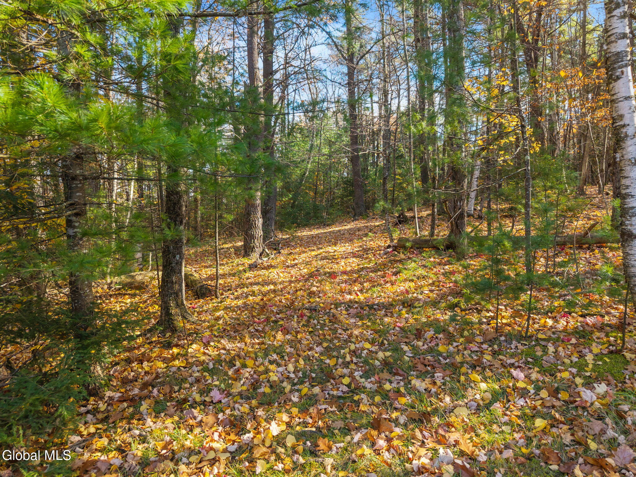 400 Greenbush Hill Road Warnerville NY 12187