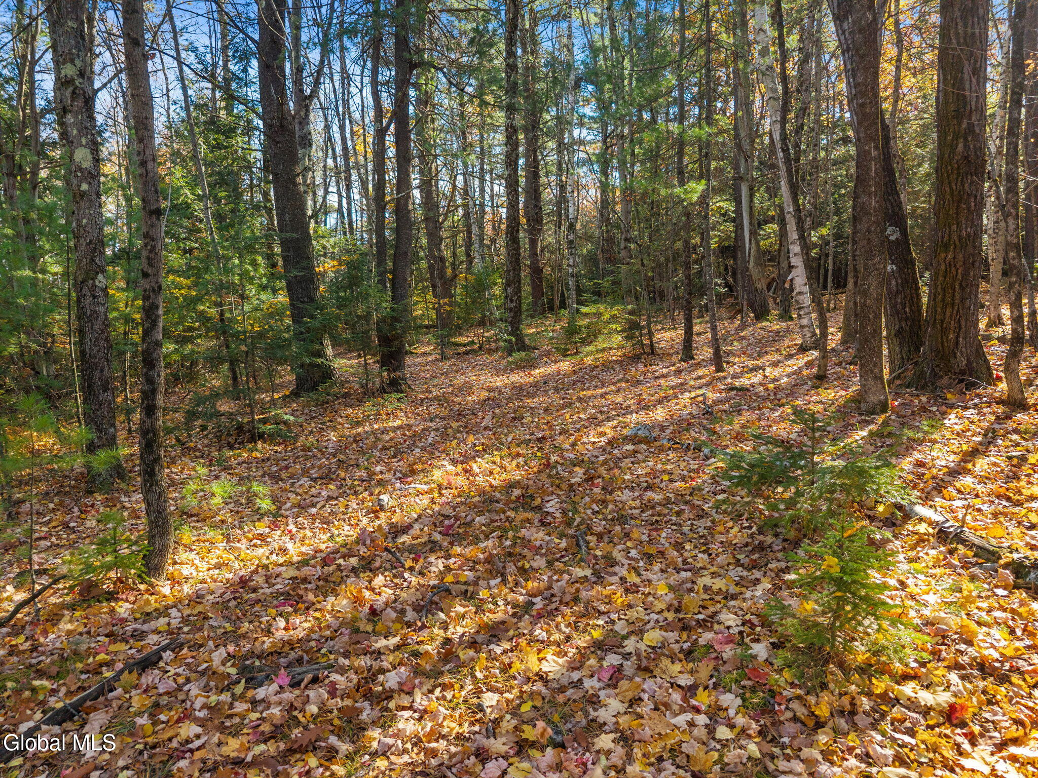 400 Greenbush Hill Road Warnerville NY 12187