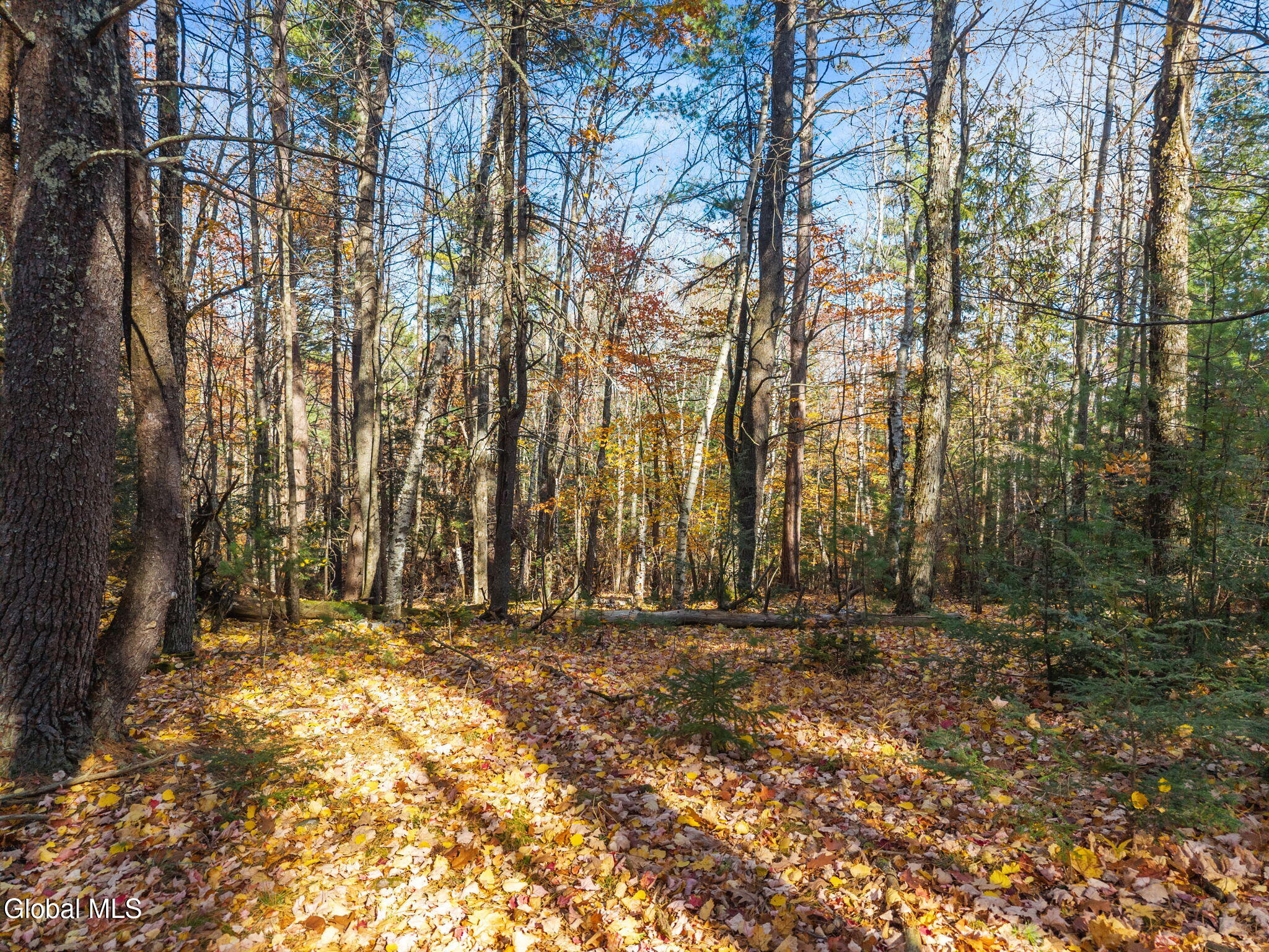 400 Greenbush Hill Road Warnerville NY 12187