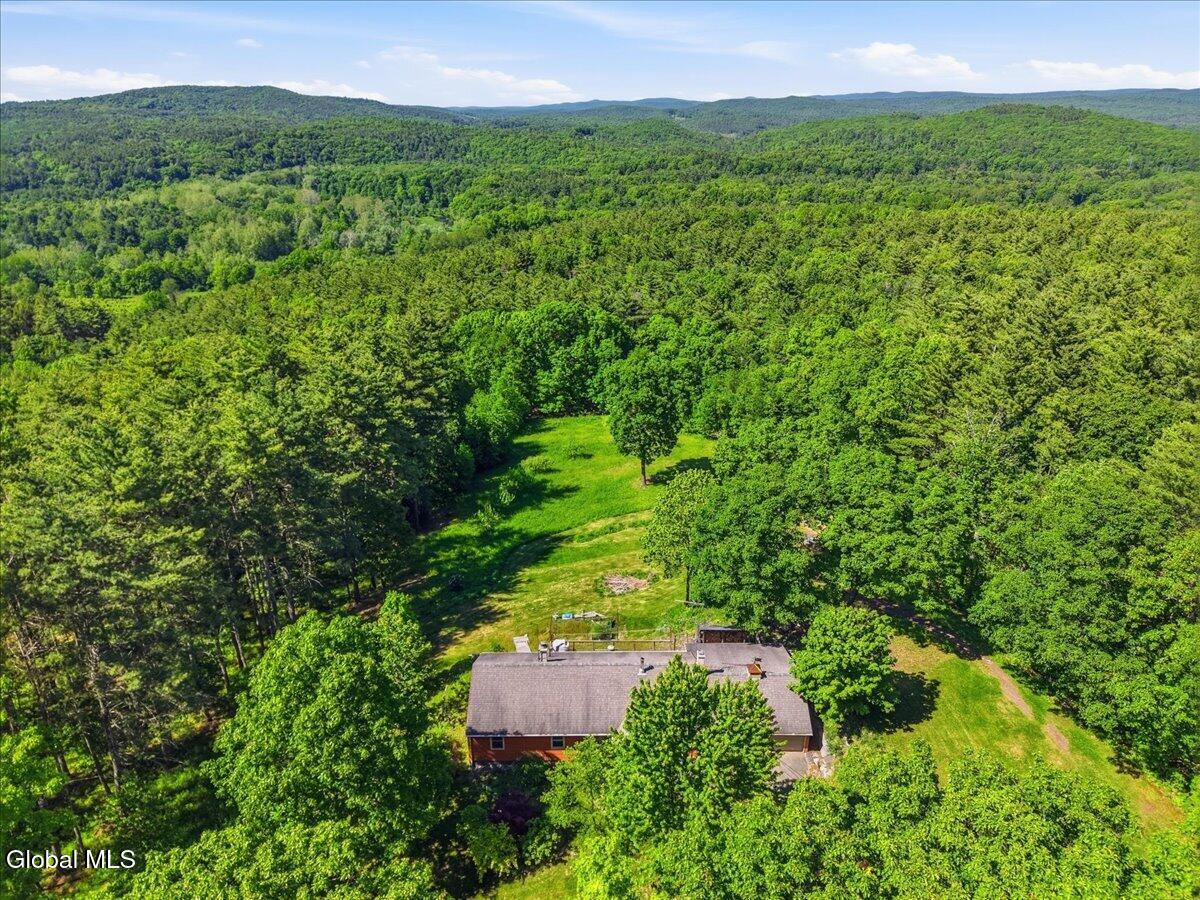 331 Ashley Hill Road Brainard NY 12024