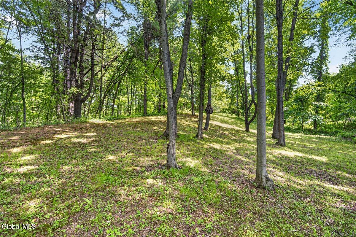 7 Brookview Court Halfmoon NY 12065