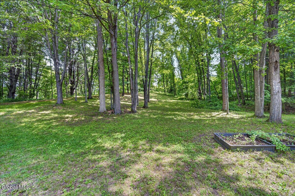 7 Brookview Court Halfmoon NY 12065