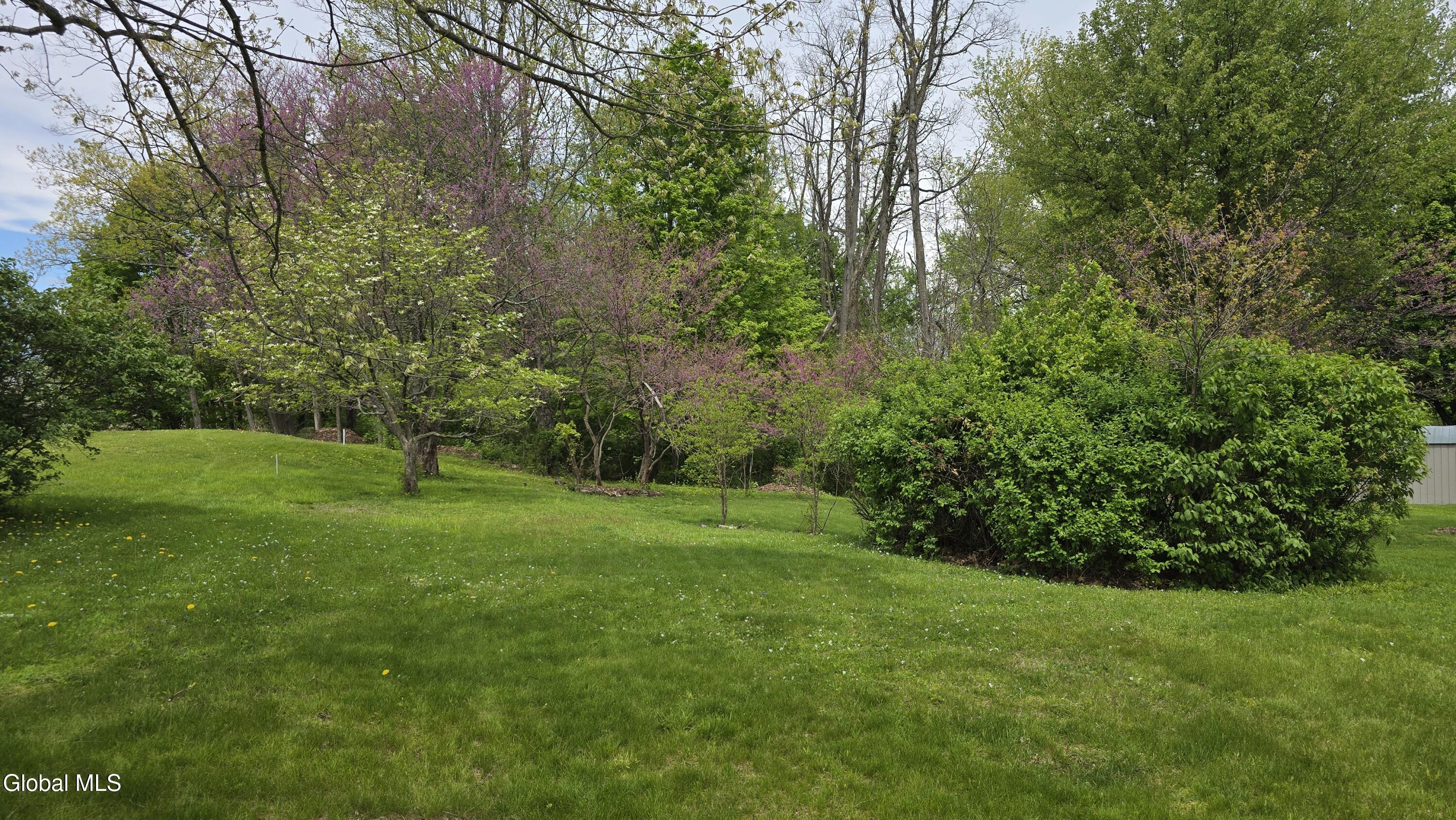 1265 S Schodack Road Castleton NY 12033