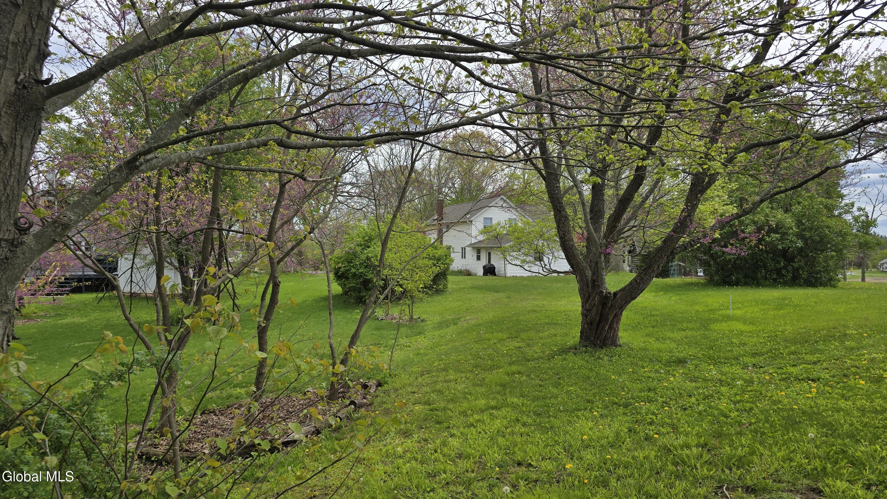 1265 S Schodack Road Castleton NY 12033