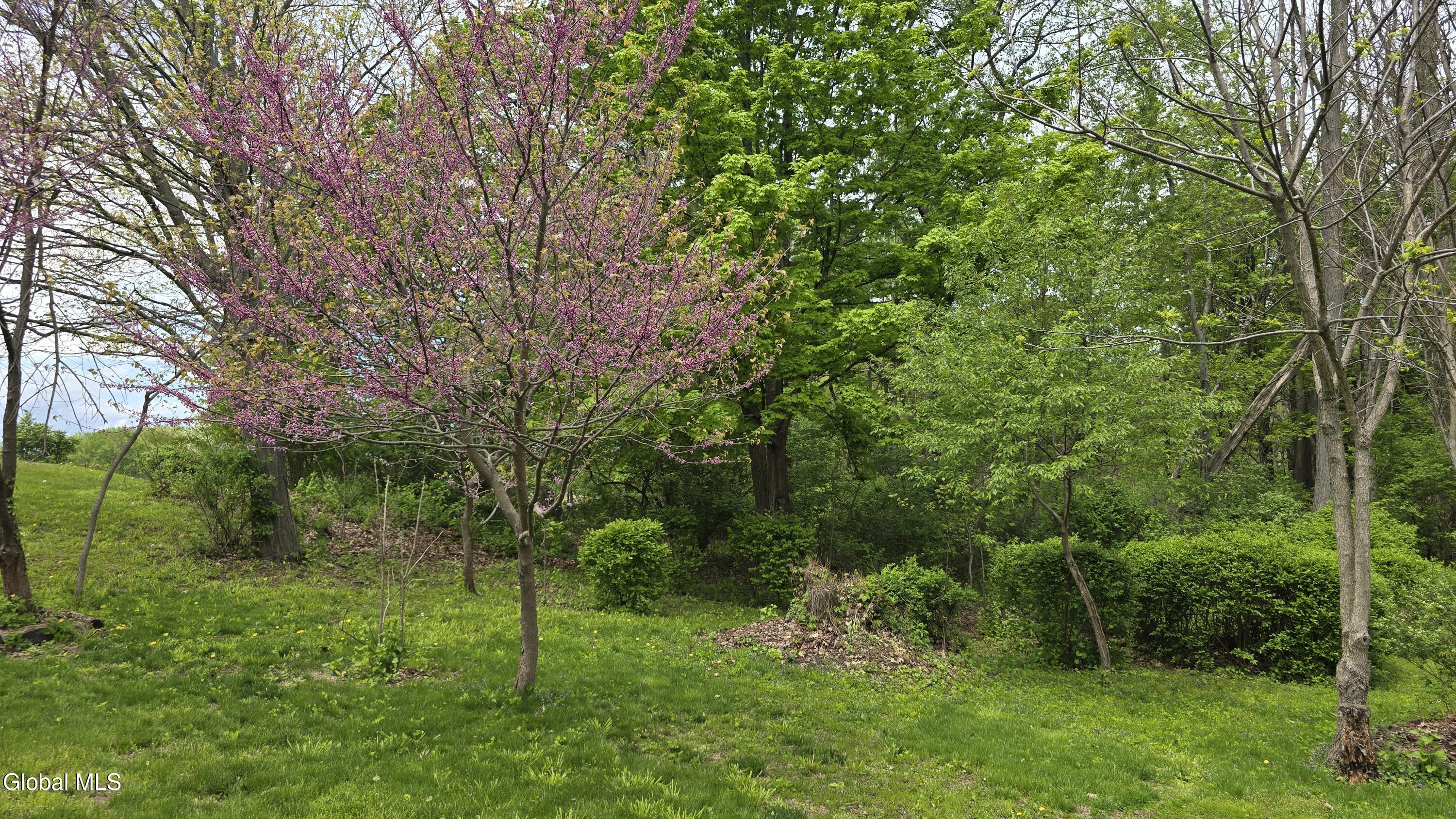 1265 S Schodack Road Castleton NY 12033