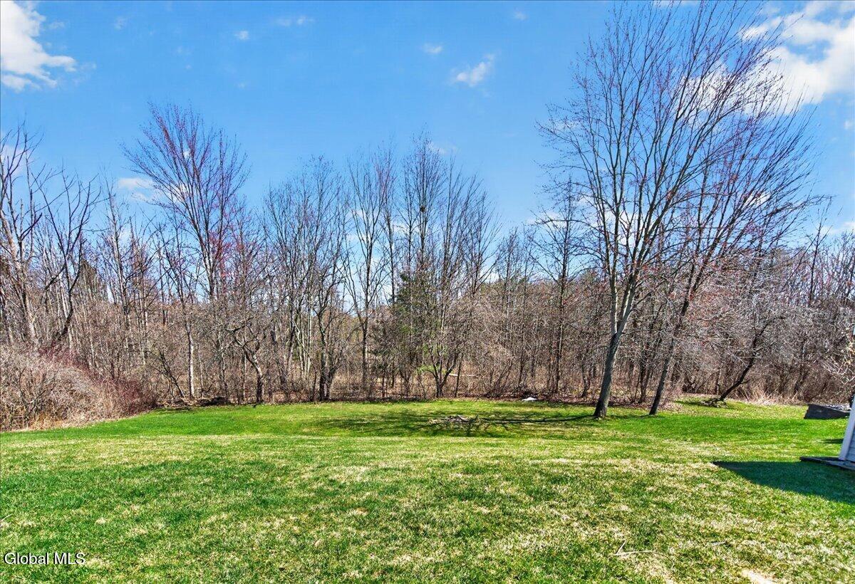 12 Basswood Court Ballston Spa NY 12020
