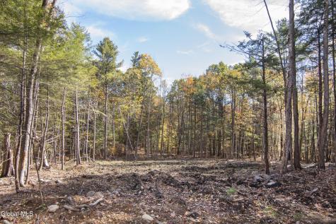 103 Sand Hill Road Greenfield Center NY 12833