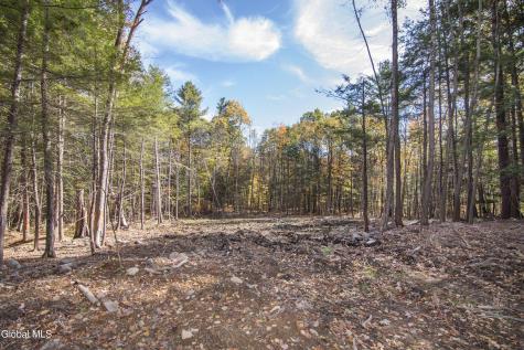 103 Sand Hill Road Greenfield Center NY 12833