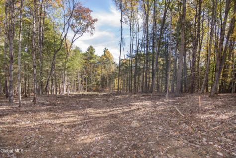 103 Sand Hill Road Greenfield Center NY 12833