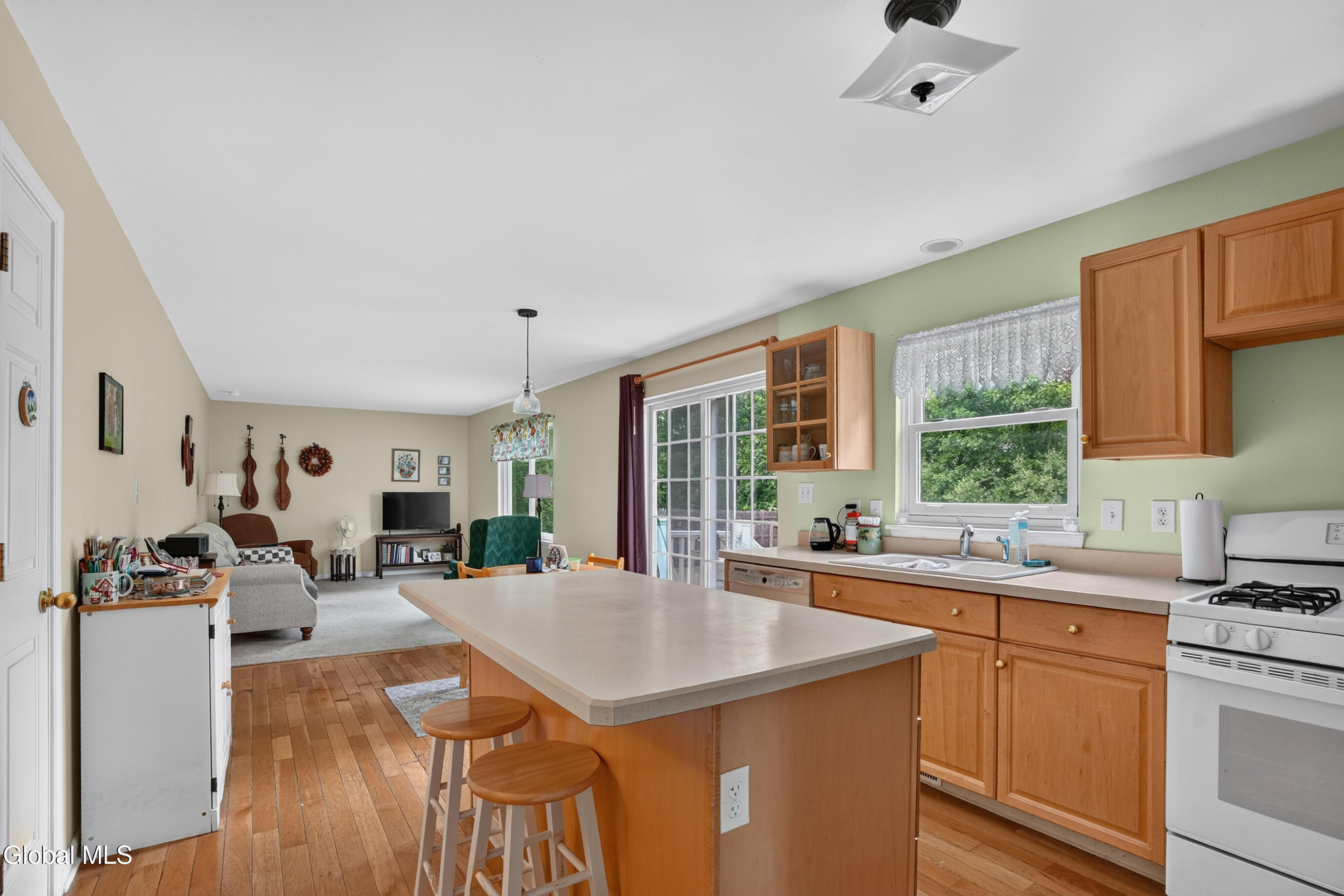 72 Holly Mill Road Selkirk NY 12158