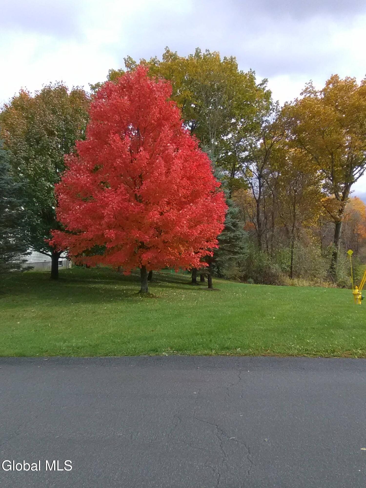 72 Holly Mill Road Selkirk NY 12158