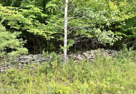 138 Vienna Woods Road Purling NY 12473