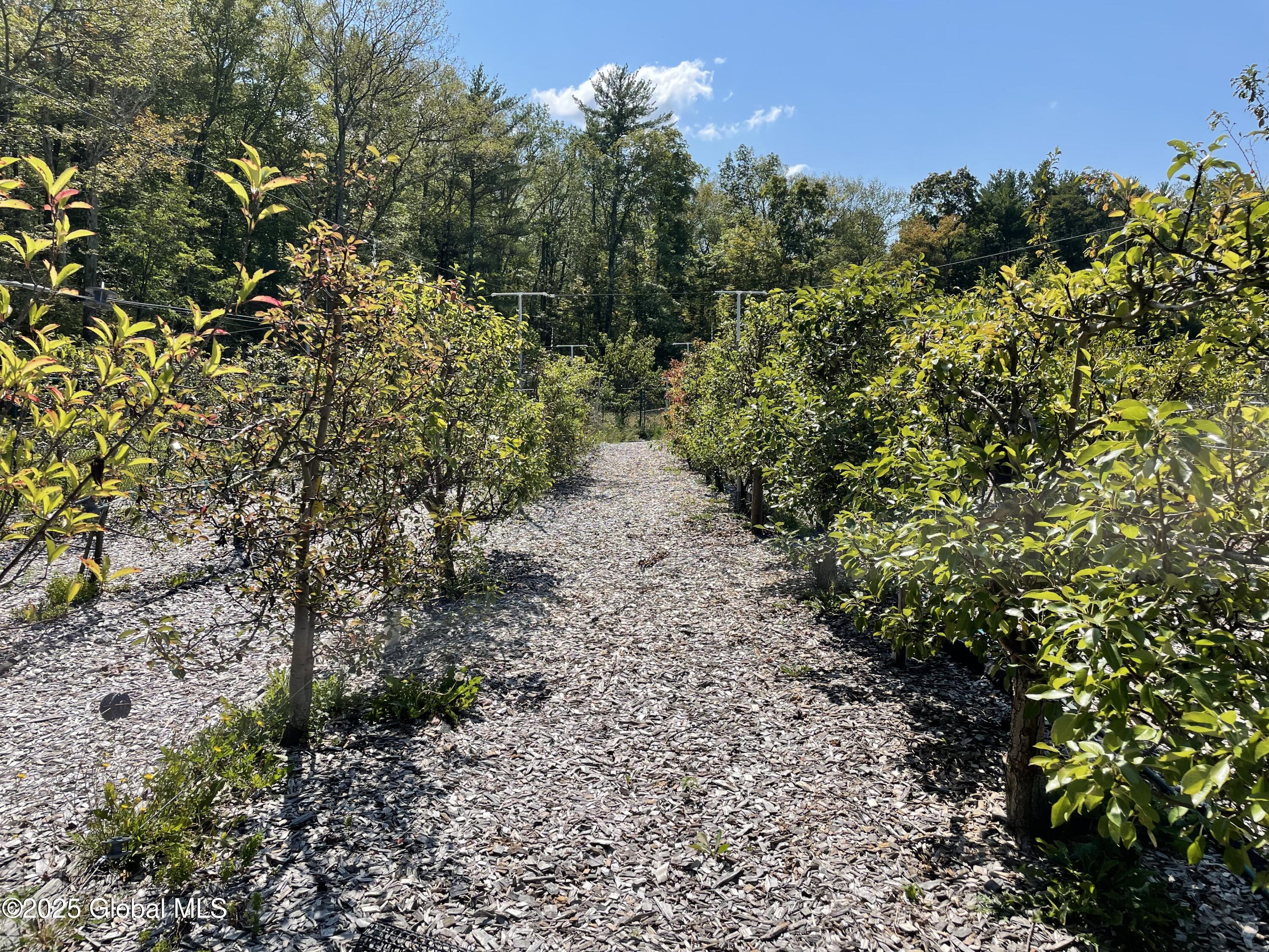 138 Vienna Woods Road Purling NY 12473