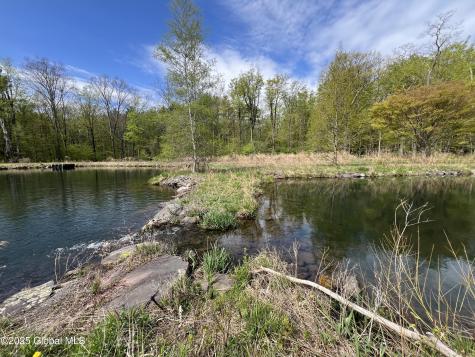 138 Vienna Woods Road Purling NY 12473