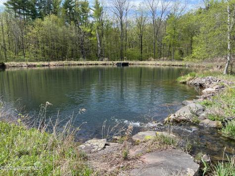 138 Vienna Woods Road Purling NY 12473