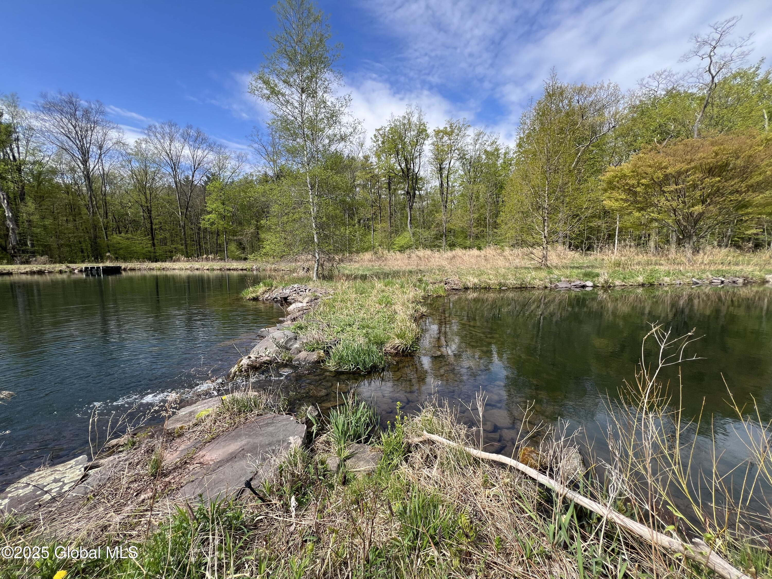 138 Vienna Woods Road Purling NY 12473