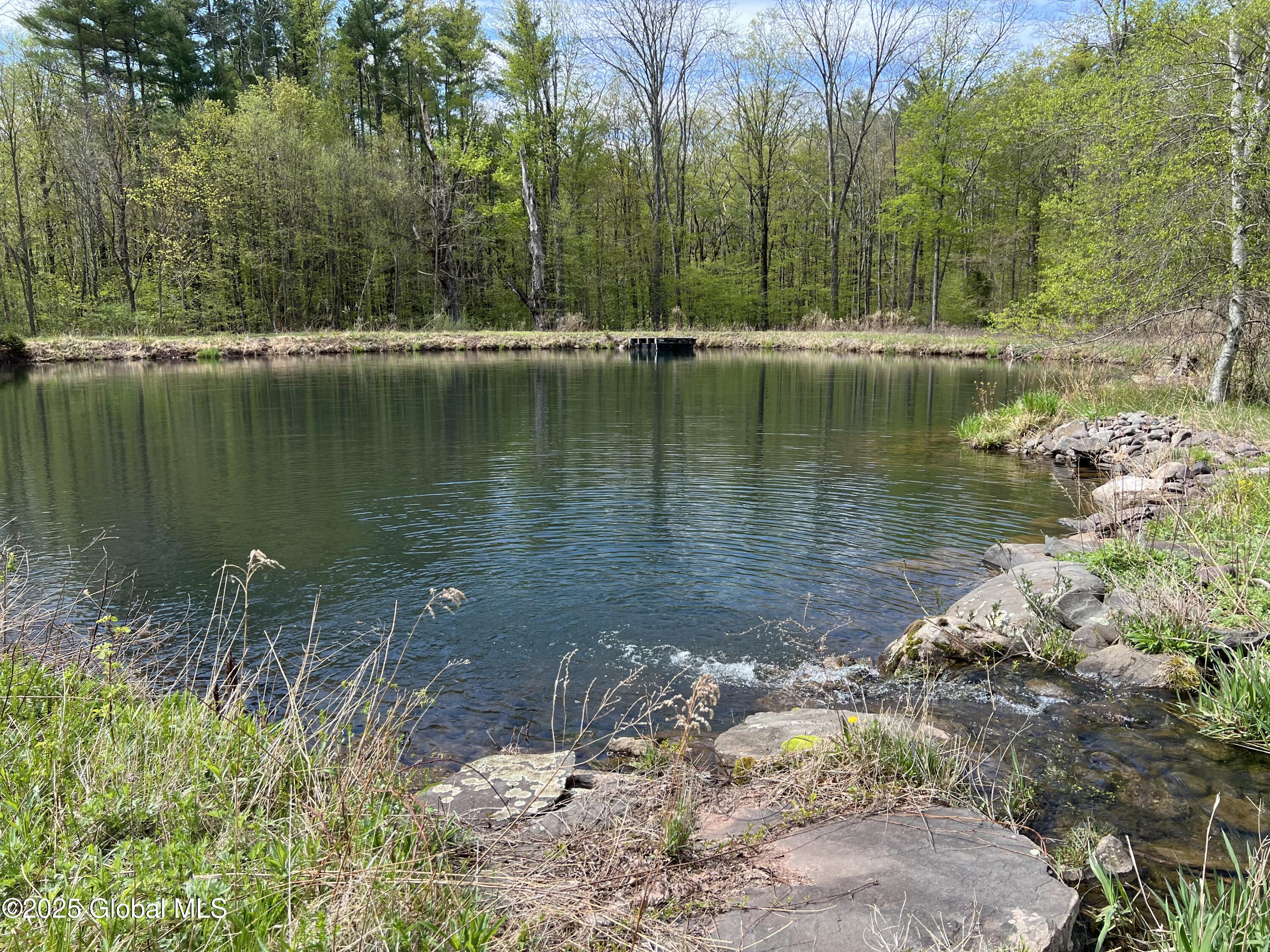 138 Vienna Woods Road Purling NY 12473