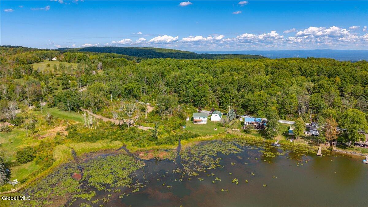 24 E Shore Drive East Berne NY 12059