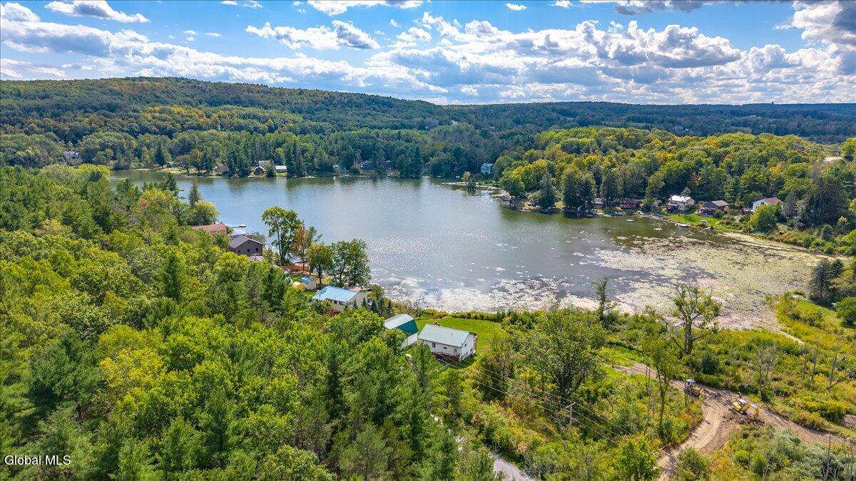24 E Shore Drive East Berne NY 12059