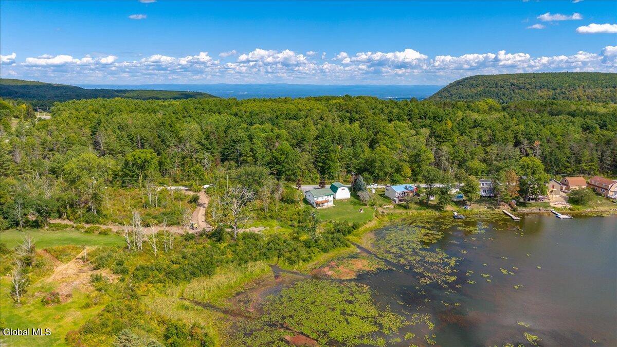 24 E Shore Drive East Berne NY 12059