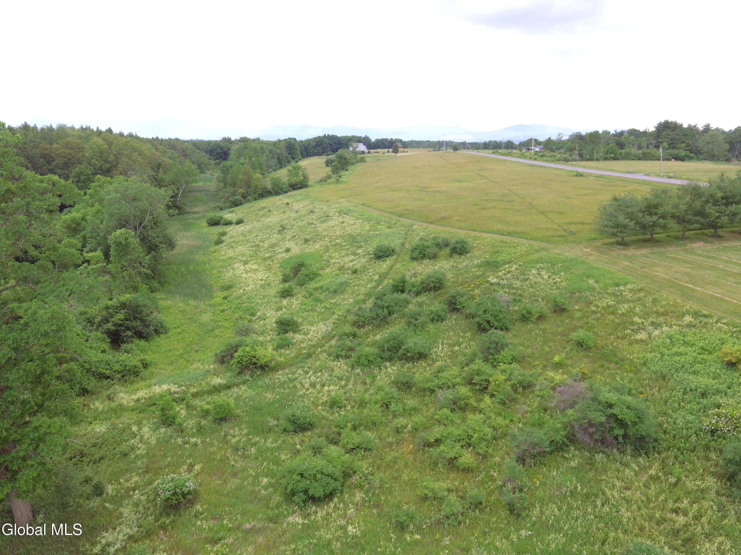 881 County Route # 402 Westerlo NY 12193