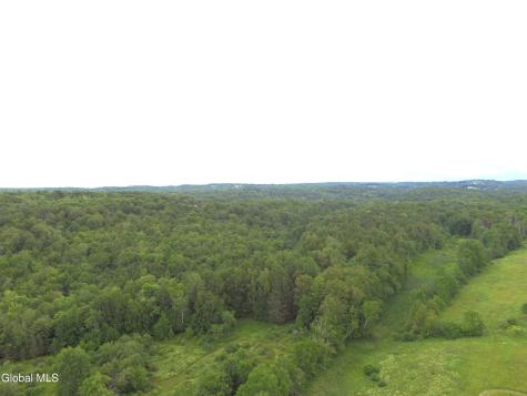 881 County Route # 402 Westerlo NY 12193