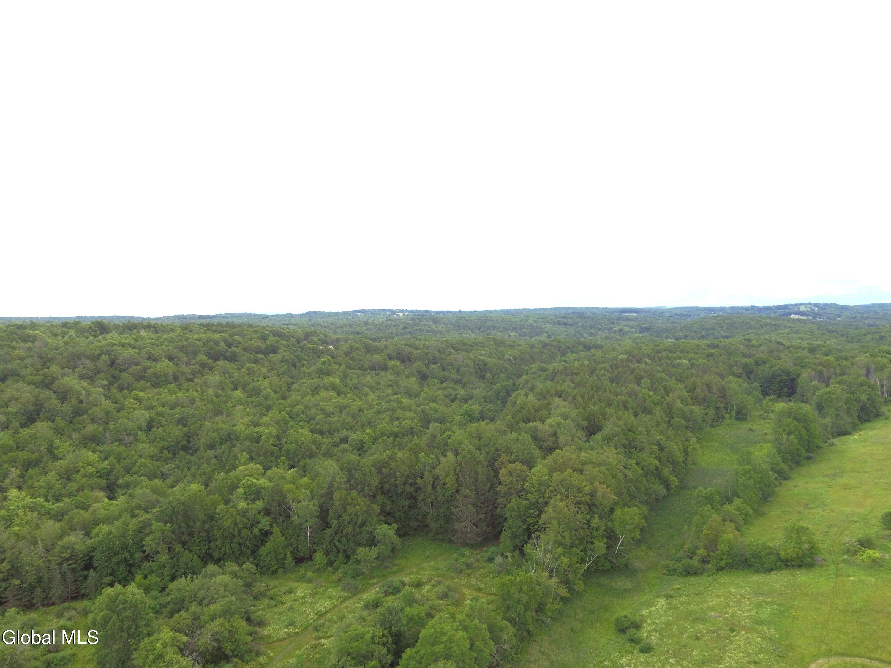 881 County Route # 402 Westerlo NY 12193