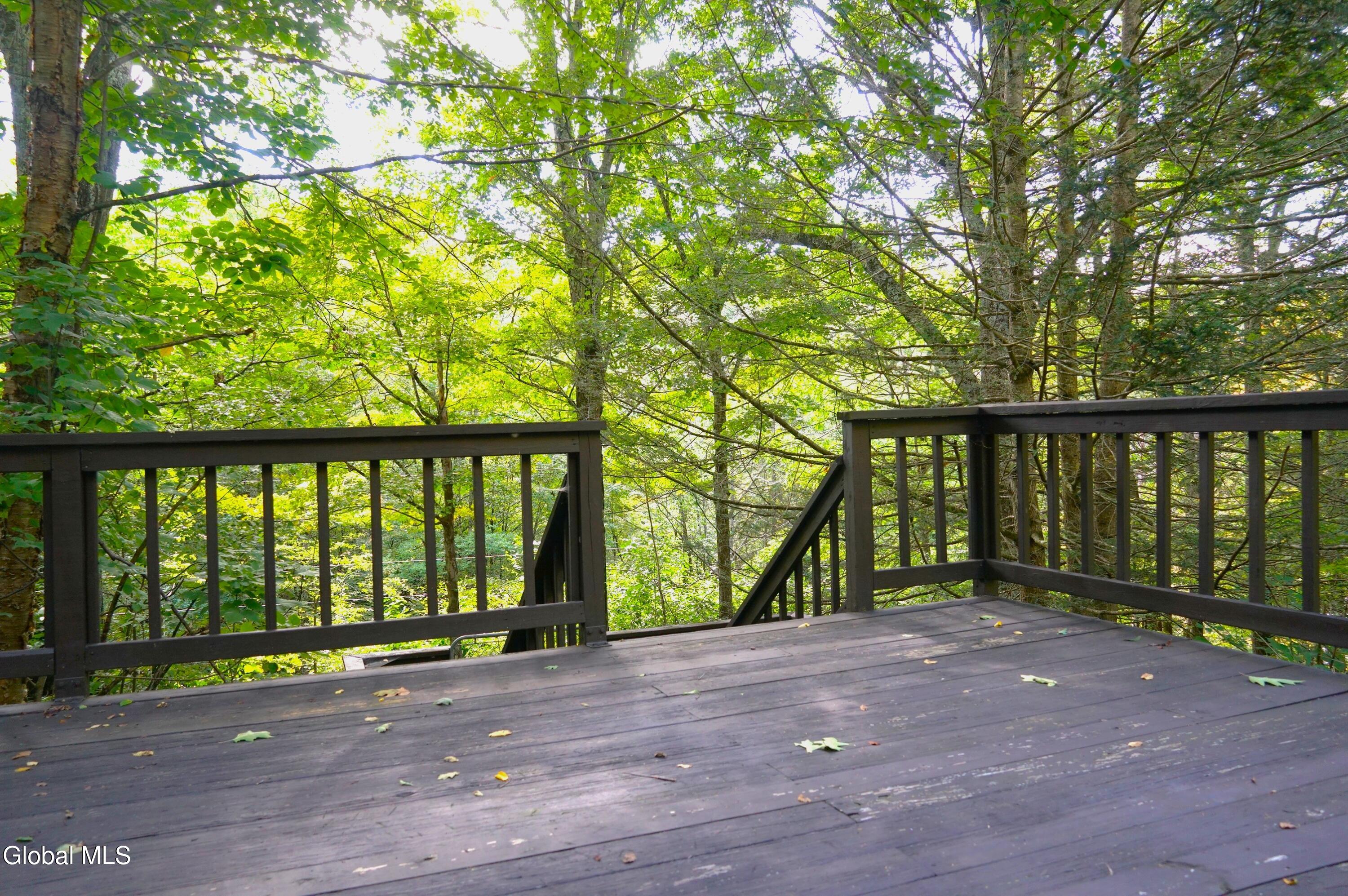 289 County Route 4 Prattsville NY 12468