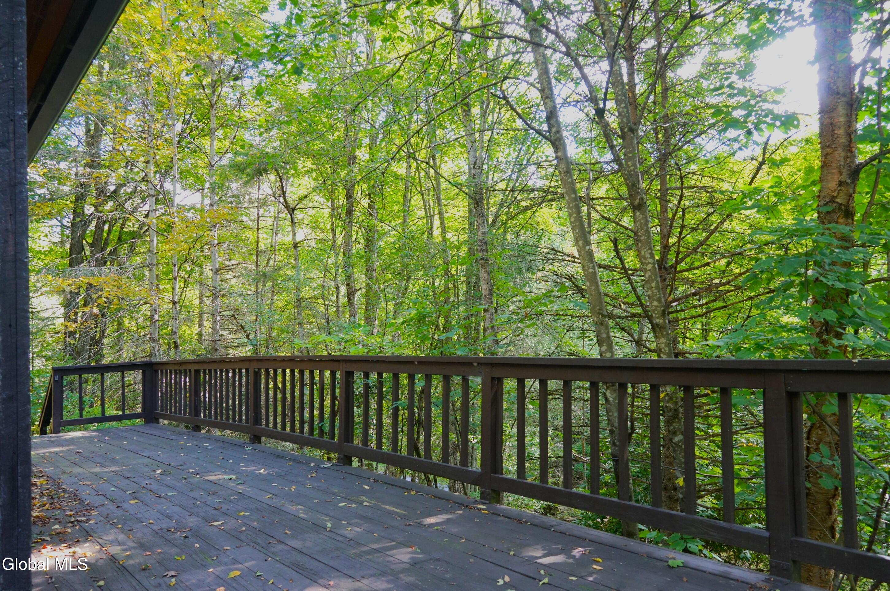 289 County Route 4 Prattsville NY 12468