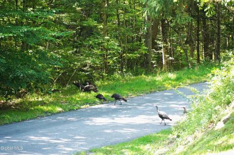 289 County Route 4 Prattsville NY 12468