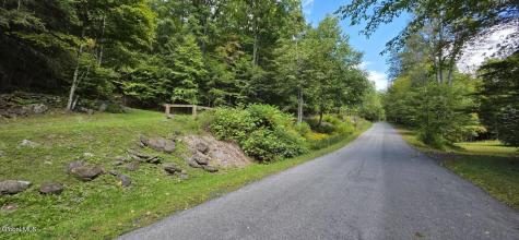 289 County Route 4 Prattsville NY 12468
