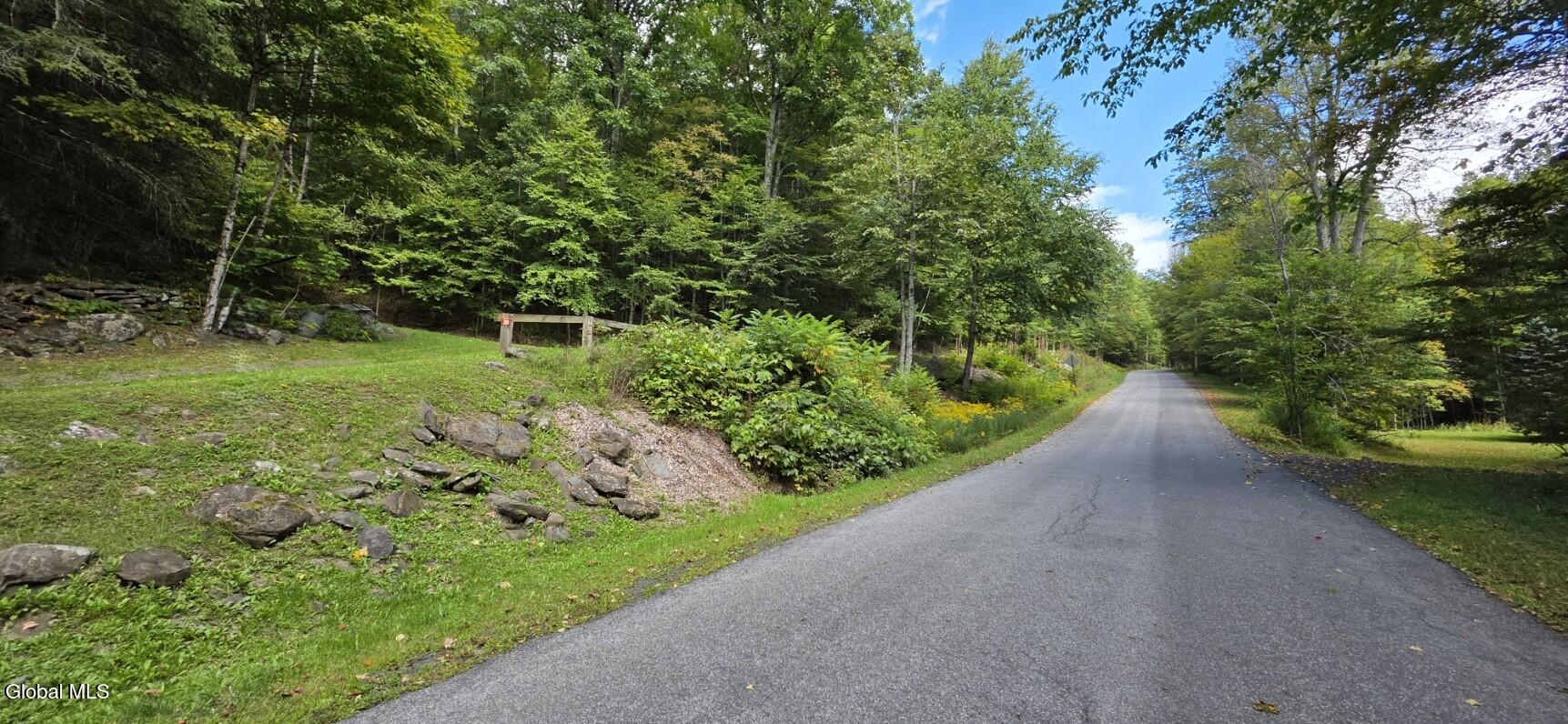 289 County Route 4 Prattsville NY 12468