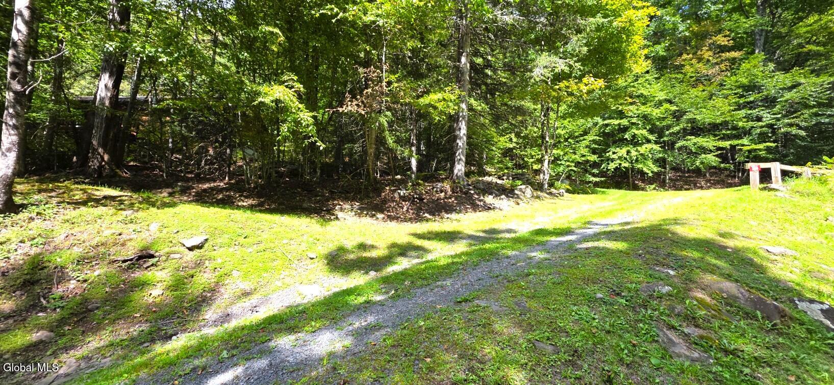 289 County Route 4 Prattsville NY 12468