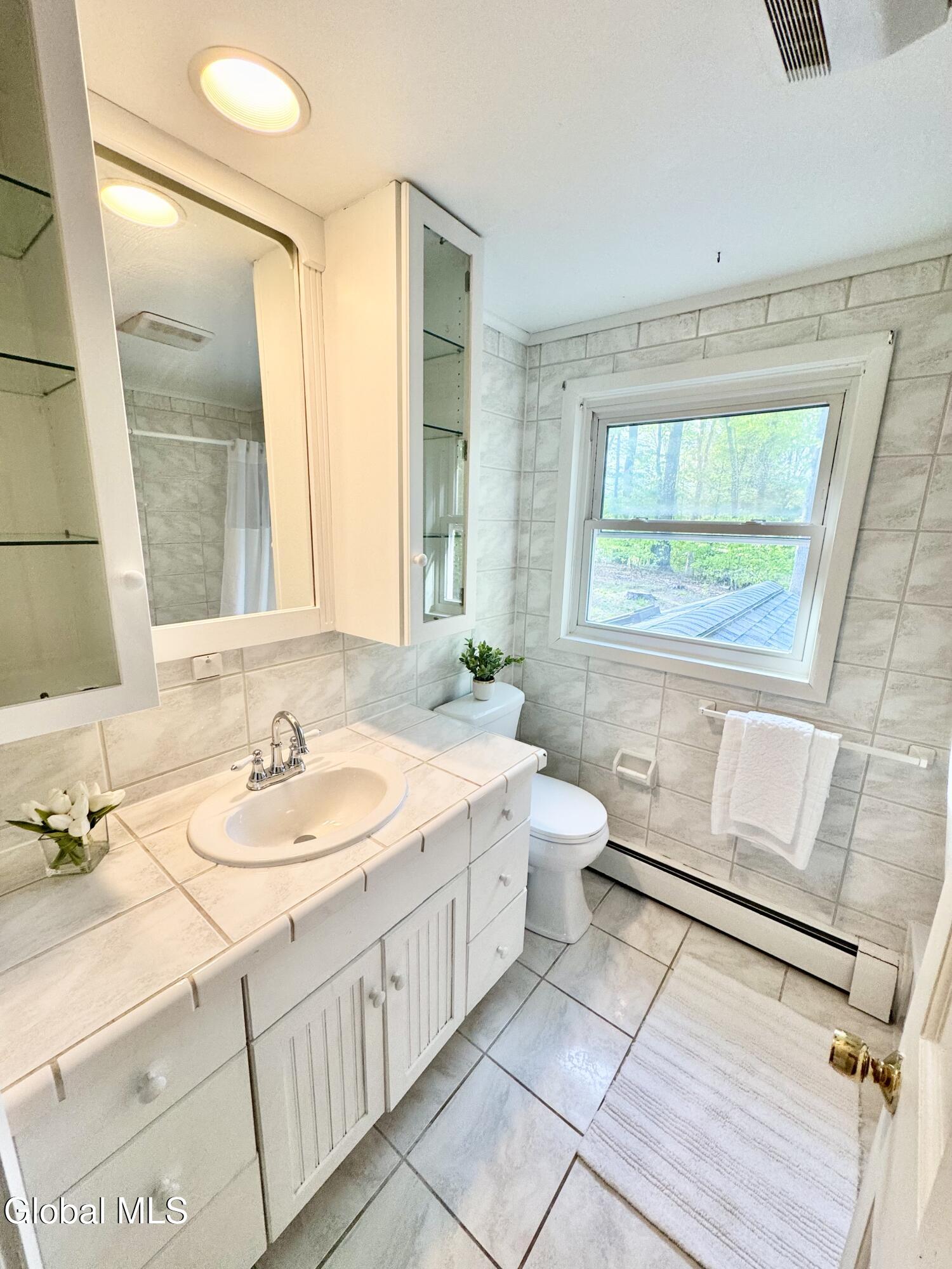 25 Shadow Wood Way Ballston Lake NY 12019