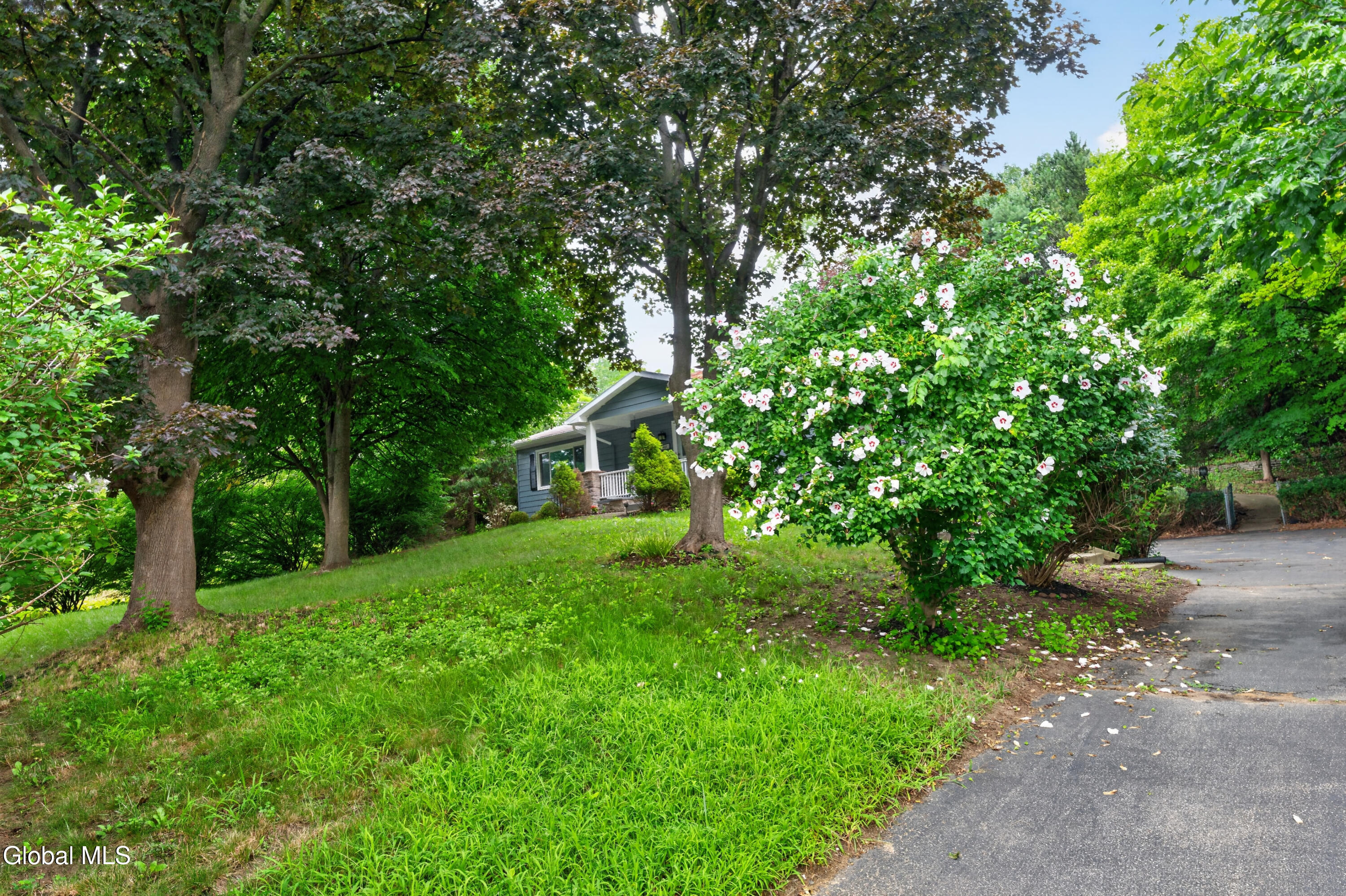 417 Albany Shaker Road Loudonville NY 12211