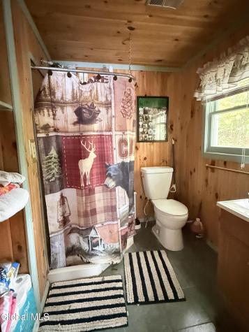 1180 Goodnow Flow Road Newcomb NY 12852