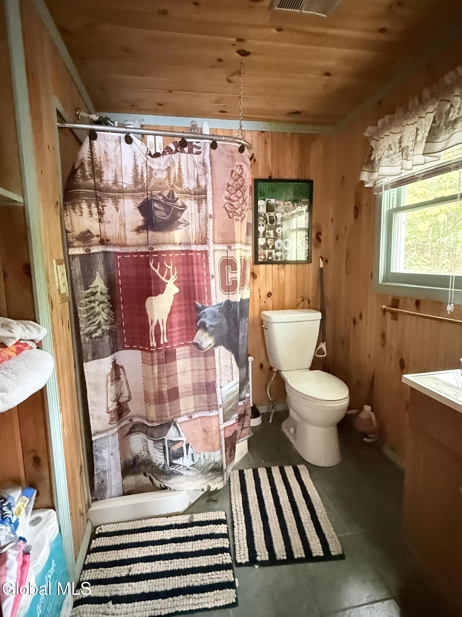 1180 Goodnow Flow Road Newcomb NY 12852