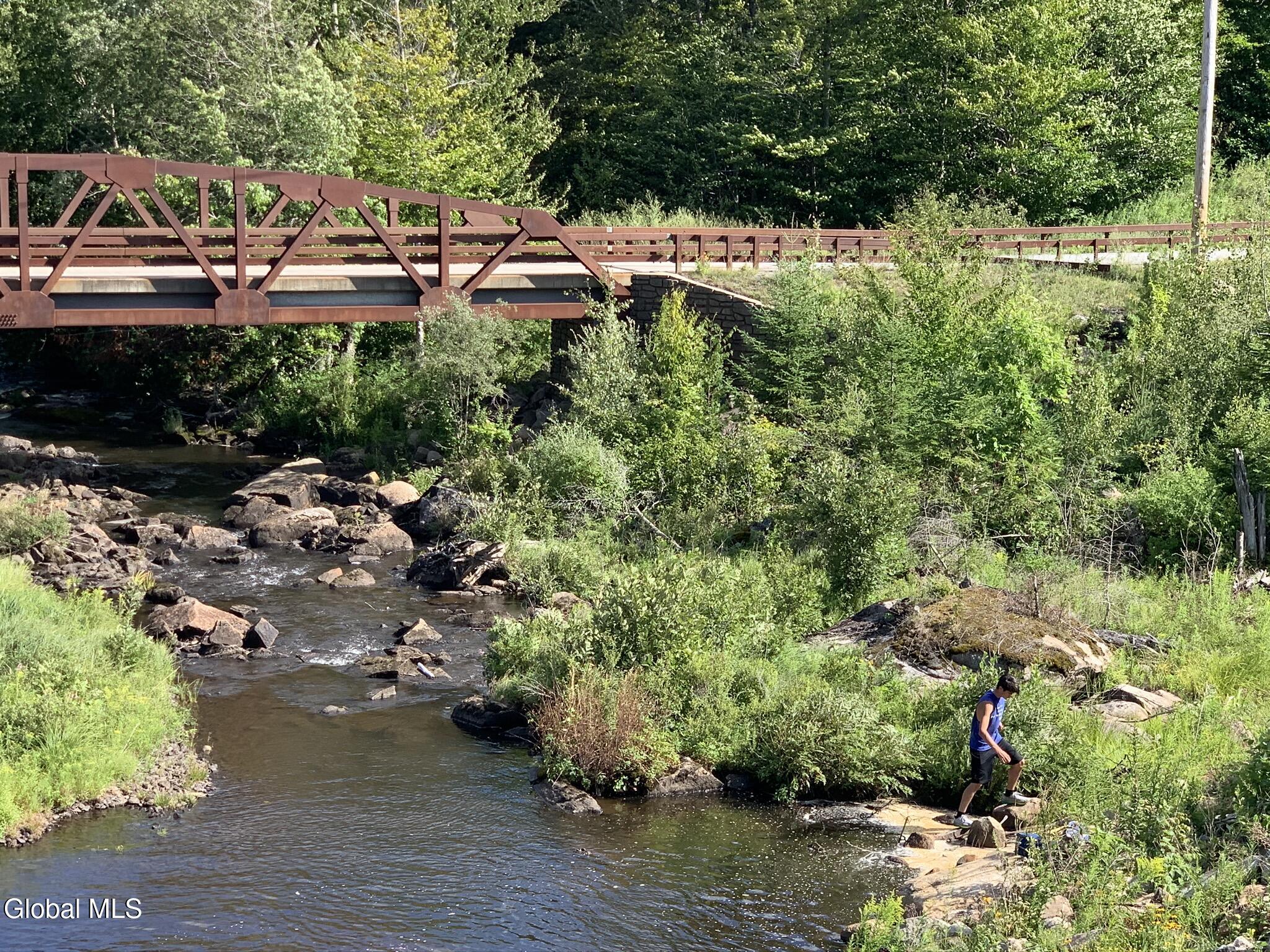 1180 Goodnow Flow Road Newcomb NY 12852