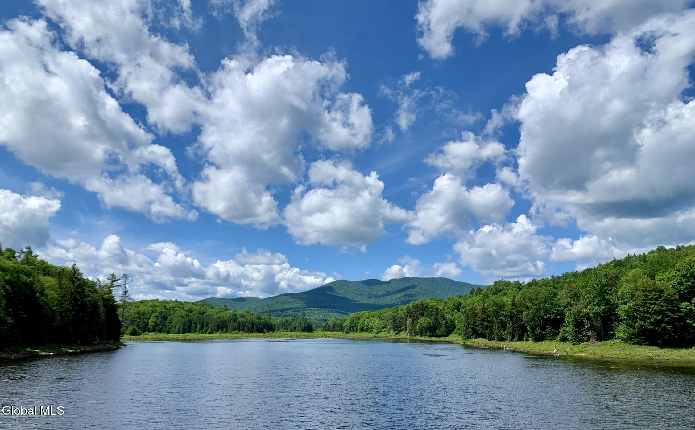 1180 Goodnow Flow Road Newcomb NY 12852