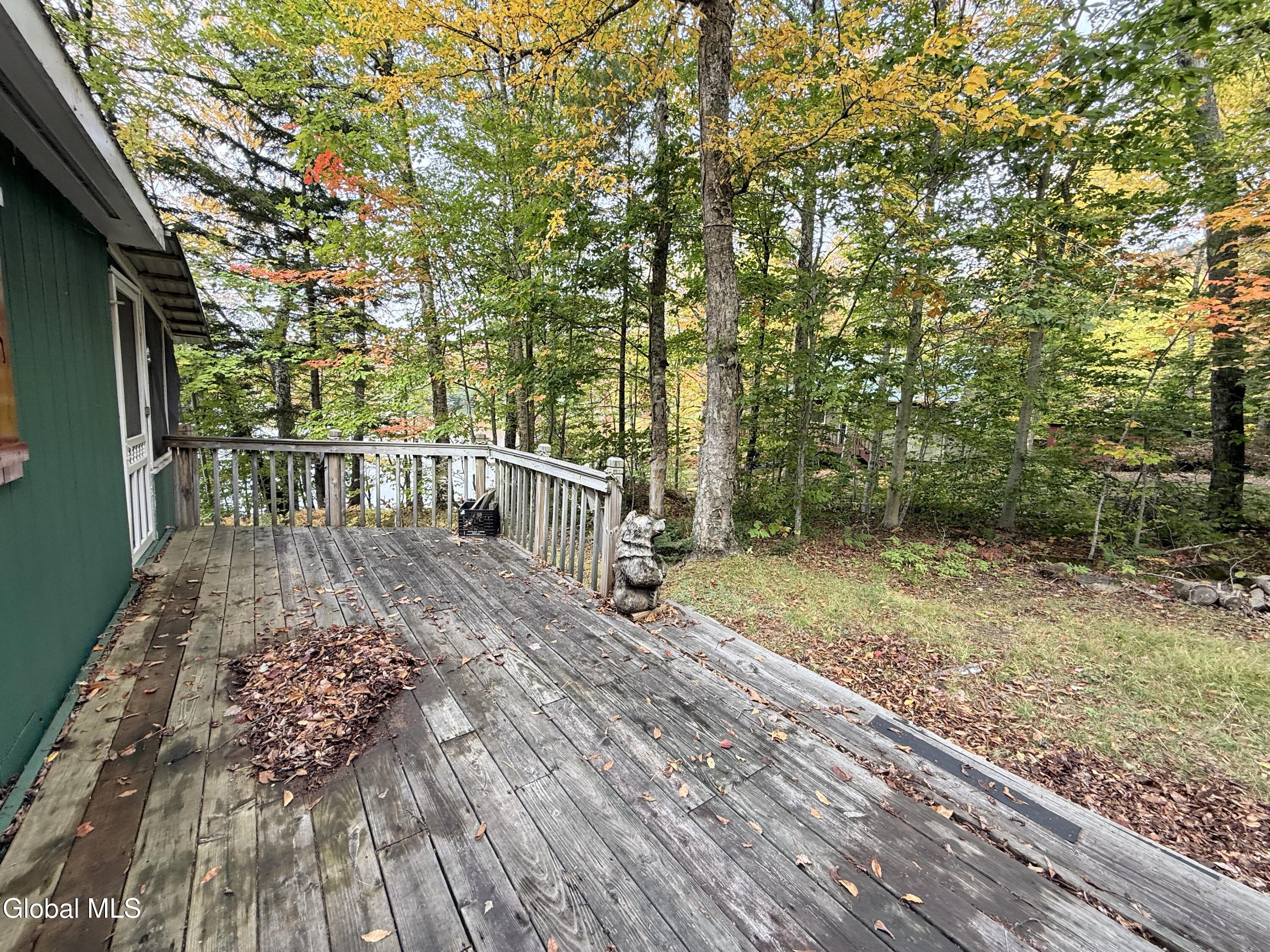 1180 Goodnow Flow Road Newcomb NY 12852